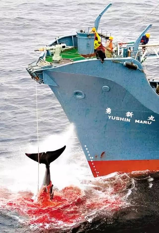 囚禁100个“孩子”后卖给中国?全球最残忍监狱仍在营业:今夜,