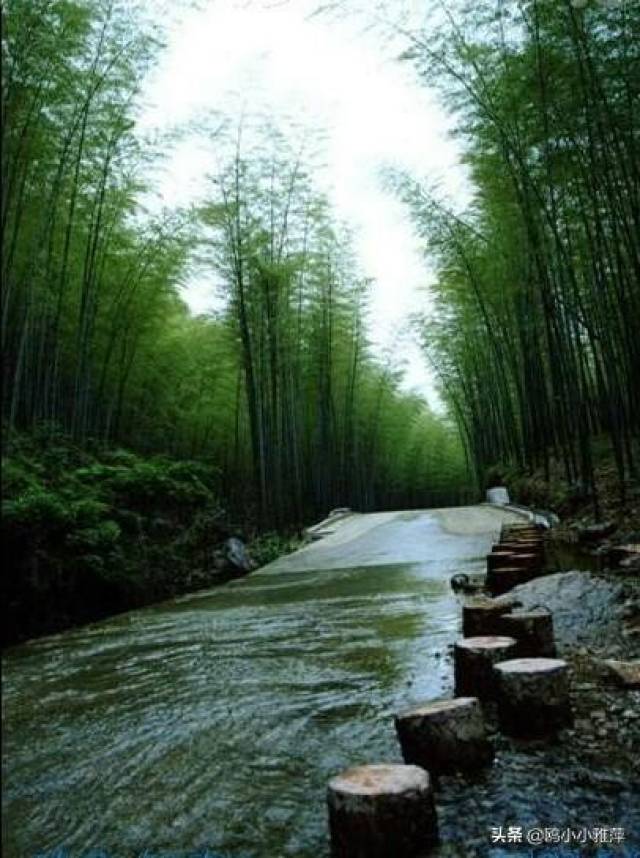 上联:竹林溪水渐行远;求下联