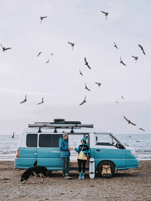 壁纸 桌面 600_800 竖版 竖屏 手机 gif 动态图 动图