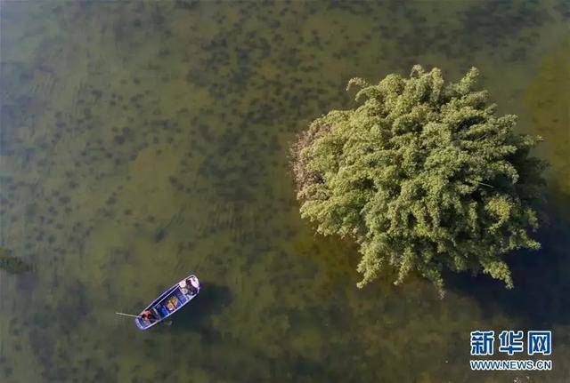 成都1月新开四大公园!高迪展、王者荣耀沙雕……周末盘起来!