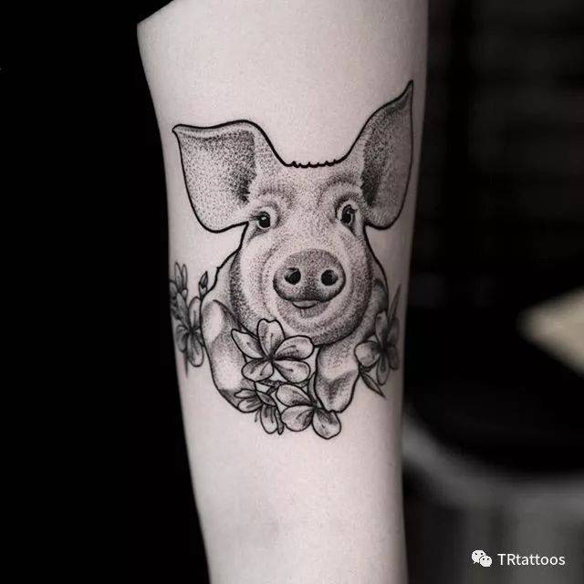 小猪纹身,猪年争做社会人儿