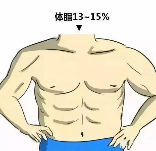 女生体脂率和体型对照◆◆ 对于一般人而言 男生的体脂最好在14%