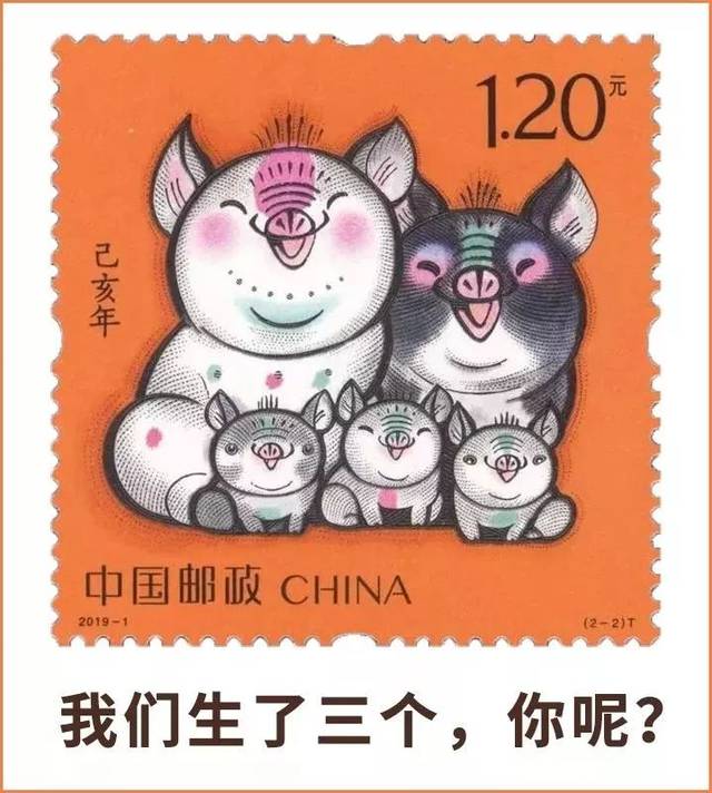 2019年三胎政策要来了？合川人，你敢再生一个吗？