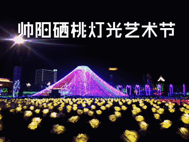 科技元素打造 无与伦比的夜景 郁金香花海  美轮美奂的梦幻王国 穿过