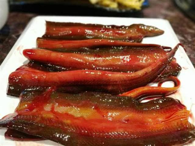 家常做鳝鱼前，鳝鱼的血要去除吗？这部错了，难怪炒的黄鳝不好吃
