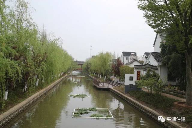 广陈镇山塘村