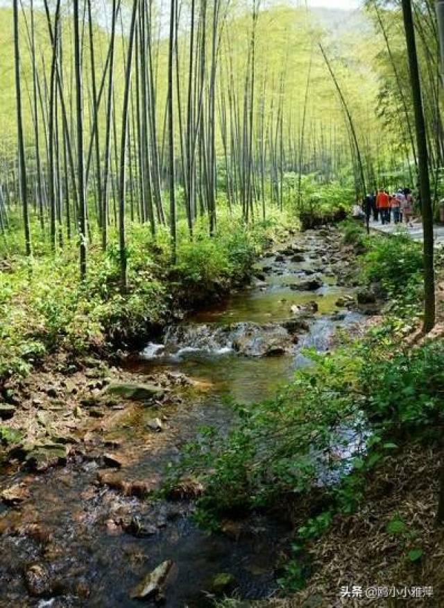 上联:竹林溪水渐行远;求下联