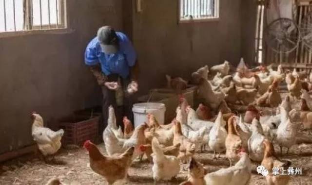 四川最新传染病疫情发布!这5种病西昌人要当心!