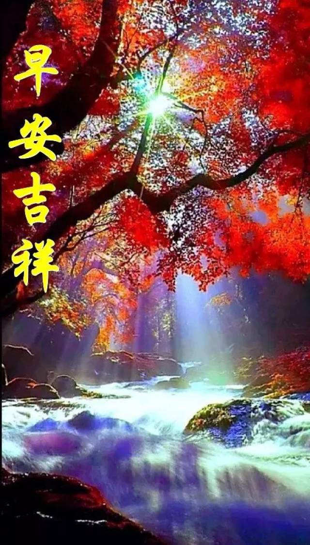 星期日早上好,用快乐涂满心房,祝朋友们幸福安康!