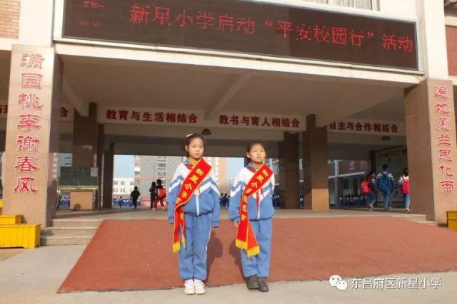 红星闪耀水城——新星小学2018年少先队工作总结