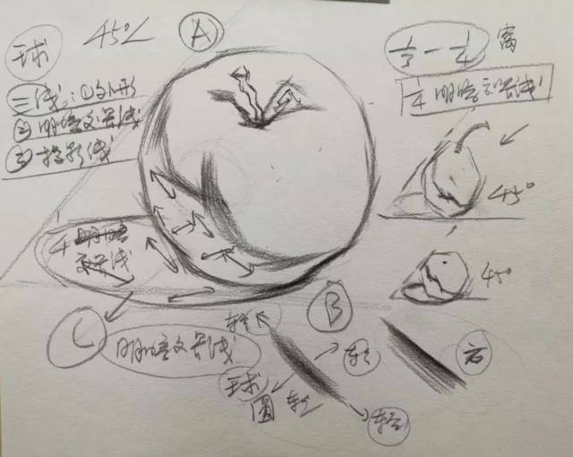 【插本高分卷】 90分以上素描静物默写—深度解析!(分享)