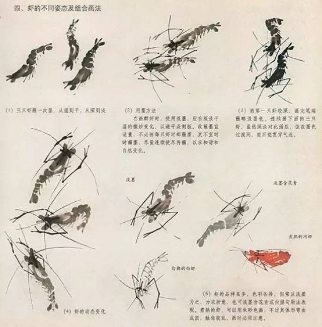 国画花鸟技法:几种虫儿,鸟儿的画法