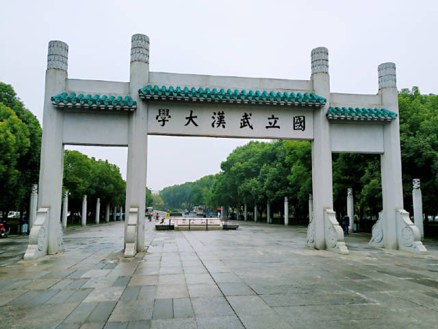 "中国最美校园"武汉大学,女游客不逛美景,却独自跑去疯狂觅食