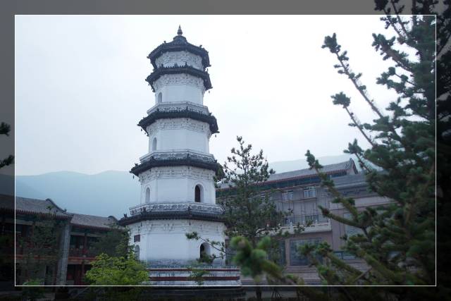 唐代高僧法照大师创建五台山竹林寺,寺内舍利塔不知谁