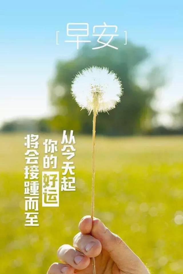 阳光下灿烂,风雨中奔跑,泪水中成长,拼搏中展望,早安!