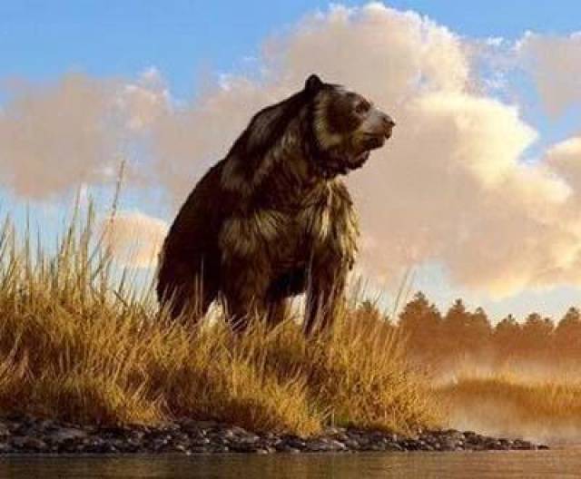 史上最大的熊类——短面熊