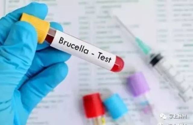 四川最新传染病疫情发布!这5种病西昌人要当心!