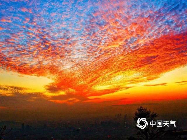 福州晚霞与白云完美交织 天空美如画