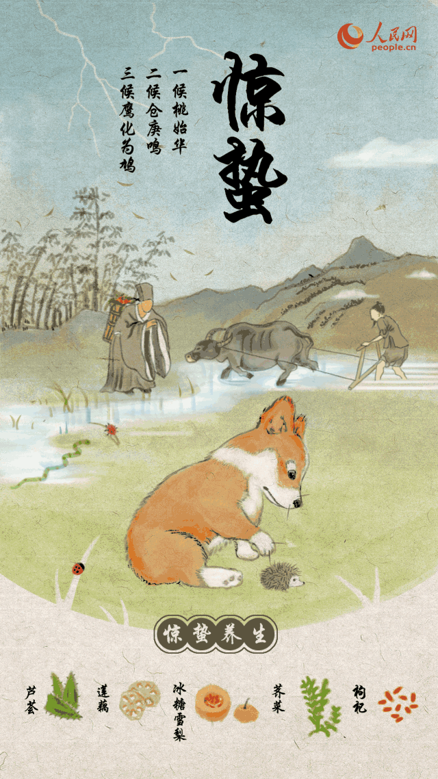 大寒是二十四节气中的最后一个,之后,又将迎来新一年的节气轮回.
