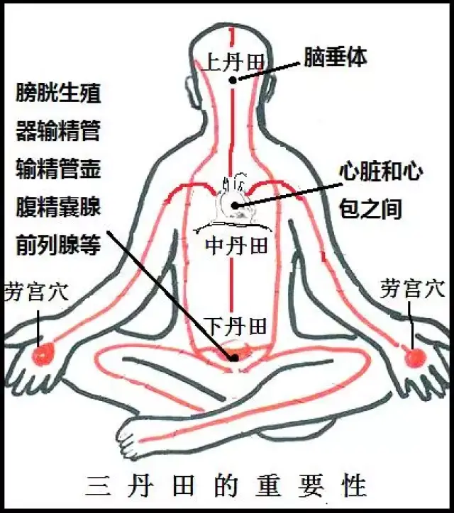 很多人对"丹田"一知半解,这是史上最全的丹田知识