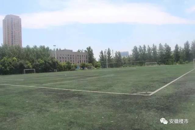 合肥学院火了!要在全国出名了!