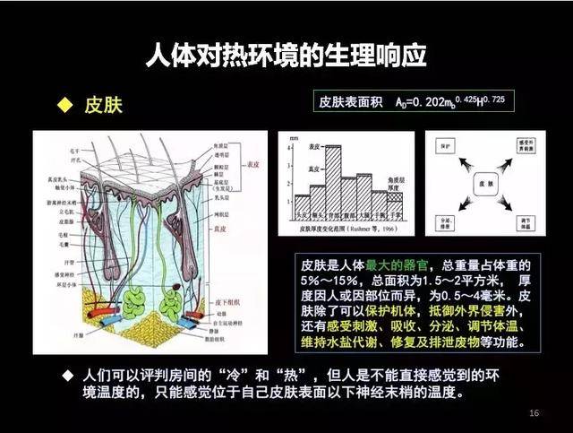 人体与环境的热交换包括显热交换,潜热交换.皮肤是人体最大