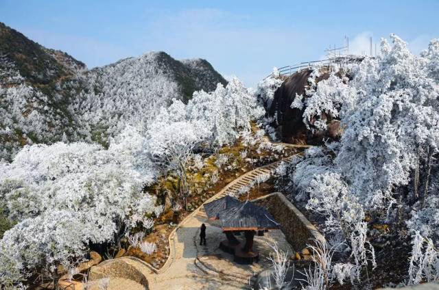 明天九仙山雾凇又要来了?