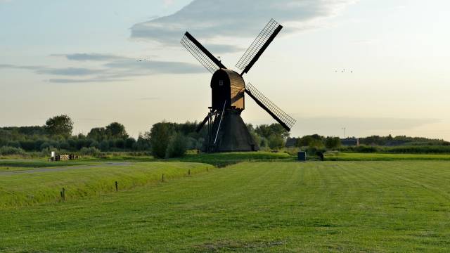 2019荷兰高科技农业与产业链游学之旅!