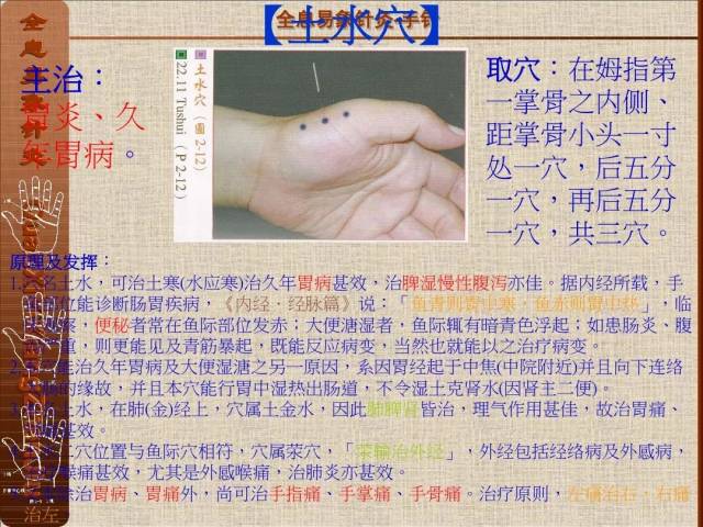 全息易象针灸-董氏奇穴