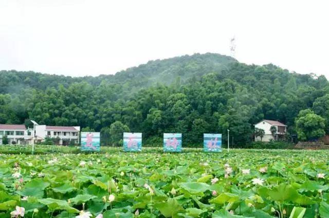 湘潭县梅林山庄