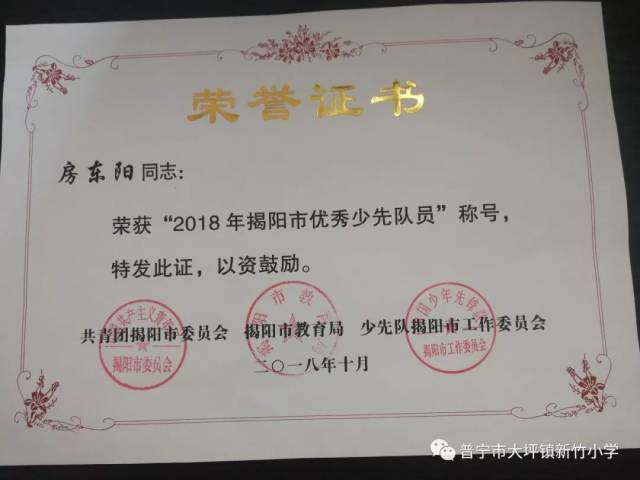 揭阳市优秀少先队员荣誉证书