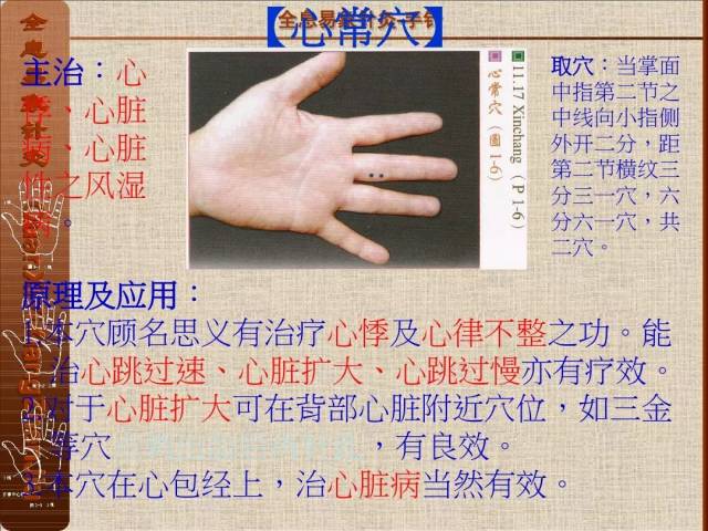 全息易象针灸-董氏奇穴