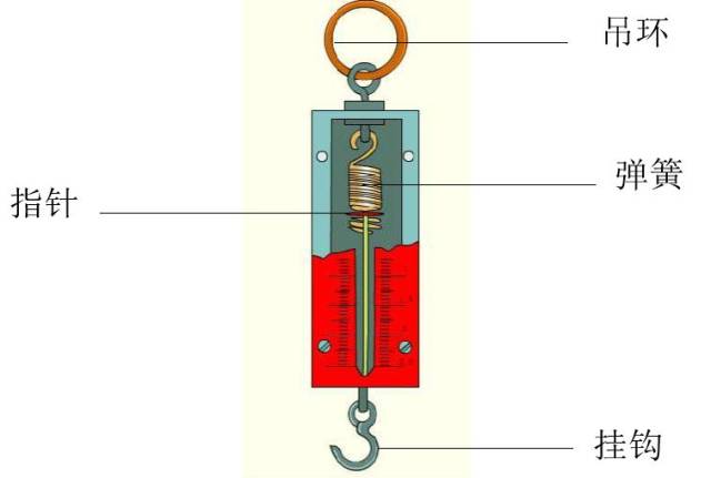 弹簧测力计是一种常用的测力计 原理: 弹簧受到的拉力越大,弹簧的伸长