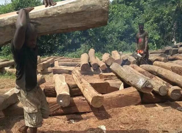 2019Աǻ̴ָ82죬ޱ201812µչѪ