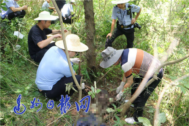 隐身幕后的通川法医:捍生者权 替死者言