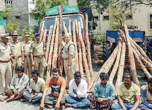 2019Աǻ̴ָ82죬ޱ201812µչѪ