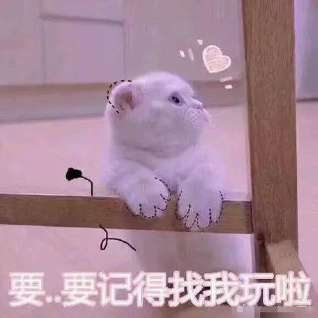 很皮的女朋友表情包:晚什么安,我巴不得你想起我,夜不