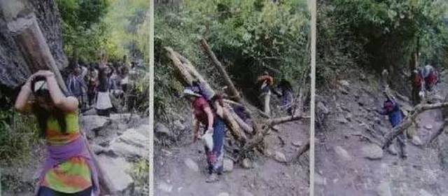 2019Աǻ̴ָ82죬ޱ201812µչѪ