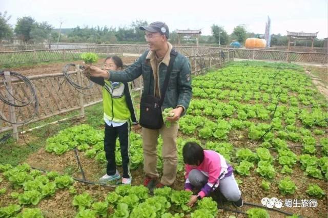 "小朋友,农民伯伯种菜是很辛苦的,要学会节约,吃多少摘多少,不要浪费