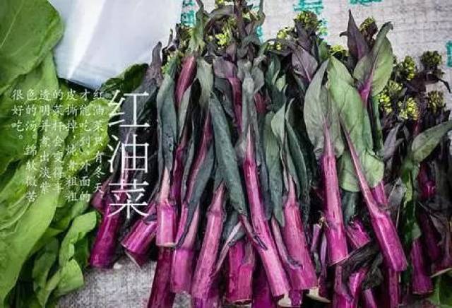 红油菜在菜市里显得特别艳丽,茁壮的茎是紫红色,暗绿的叶子,搭配了小