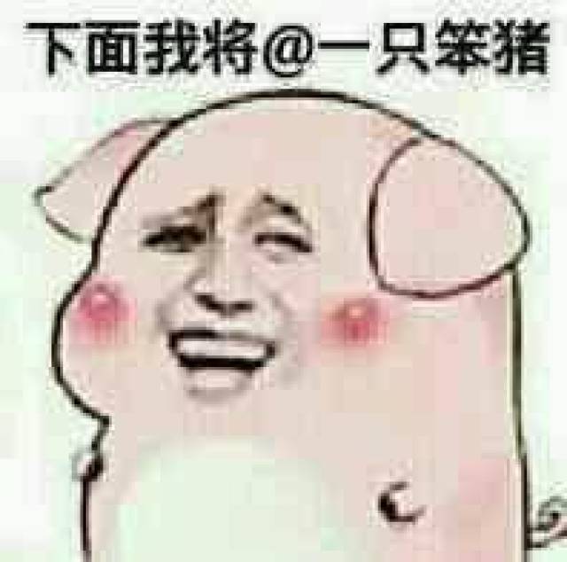 关于猪的卡通表情包:乖巧的像只小猪仔