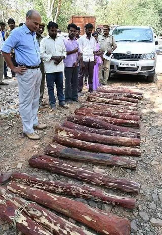 2019Աǻ̴ָ82죬ޱ201812µչѪ