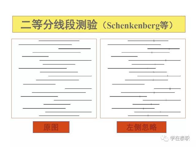 [康知了]单侧忽略的作业治疗基础