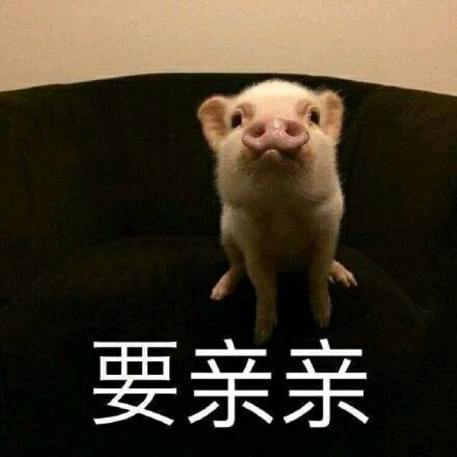 要亲亲