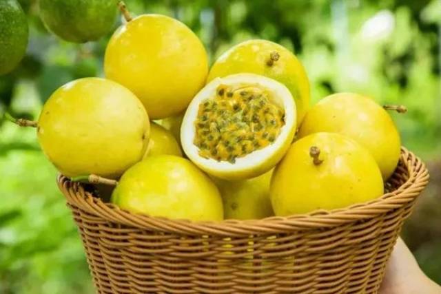 国际资讯│2018智利水果出口猛涨 玻利维亚政府欲向中国出口杏仁