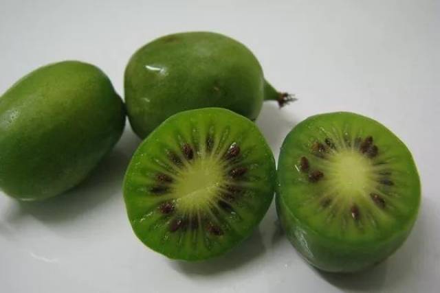 国际资讯│2018智利水果出口猛涨 玻利维亚政府欲向中国出口杏仁