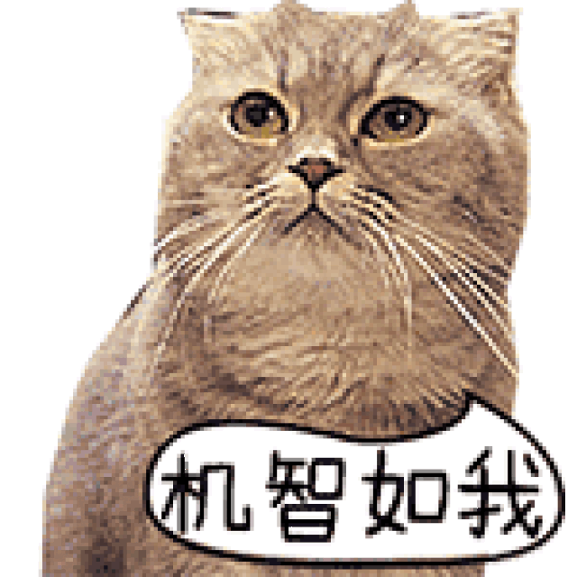 就要开始