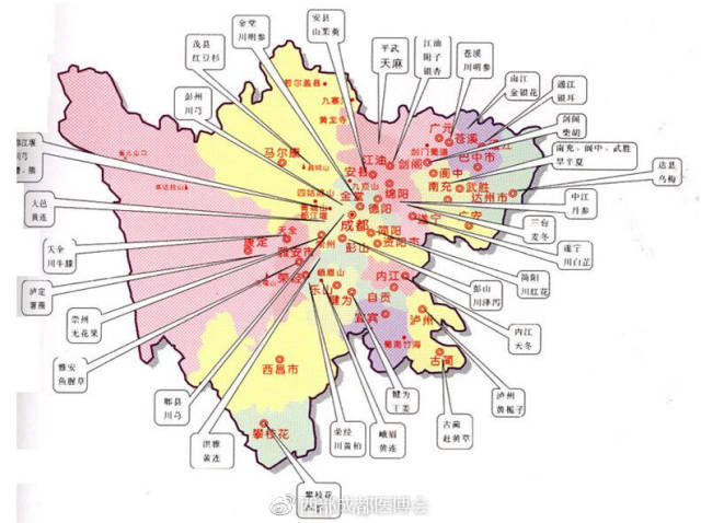 四川省素有"中医之乡,中药之库"的美誉,自古出名医,产中药,业界还有"