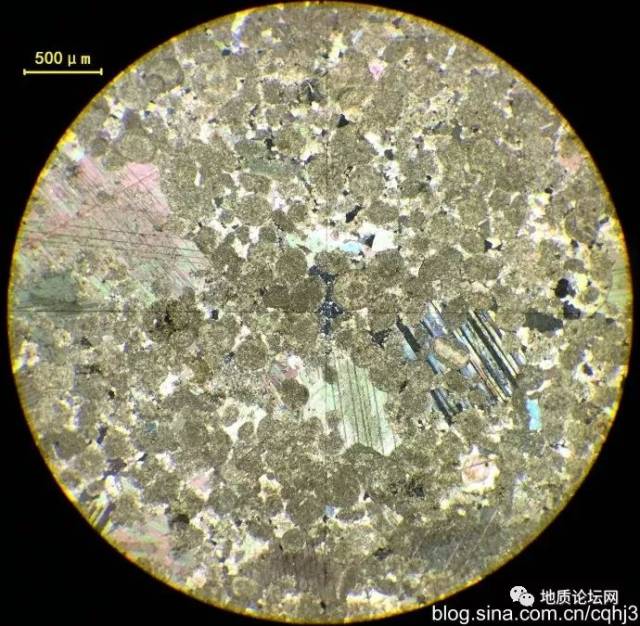 深灰色泥石岩石薄片显微镜下特征 ,为亮晶鲕粒灰岩(单偏光)