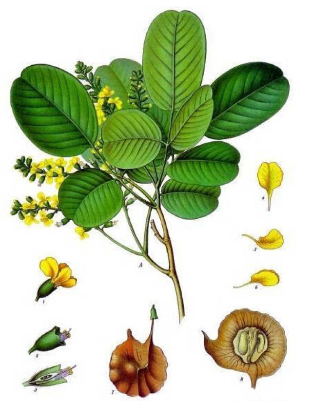 2019Աǻ̴ָ82죬ޱ201812µչѪ